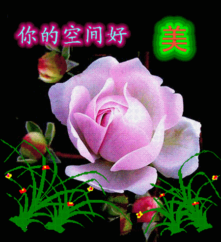 你的空间真好