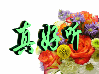 真好听的音乐