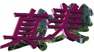 送给你两个字“真美”