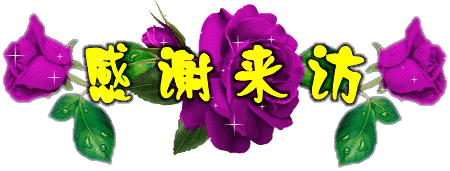 感谢你的来访