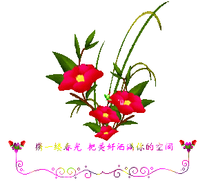 携一缕春光，把美好洒满你空间