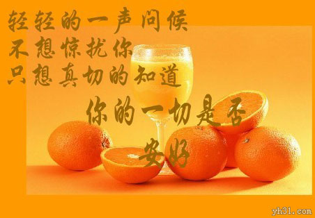 不想打扰你，只是轻轻的一声问候