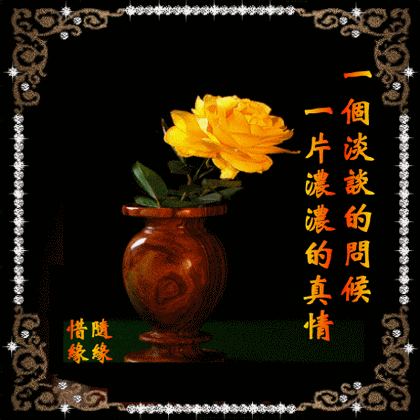 一个问候，一片真情