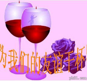 为了我们的友谊，干杯吧