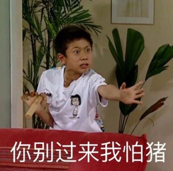 你别过来啊！因为我怕猪