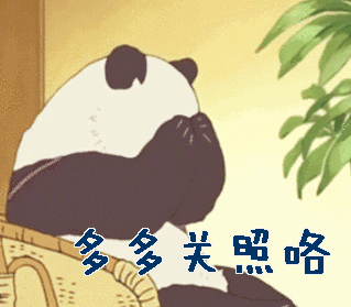 多多关照咯
