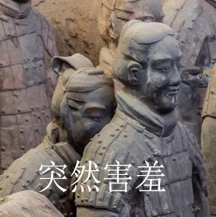 兵马俑躲在背后，突然的害羞
