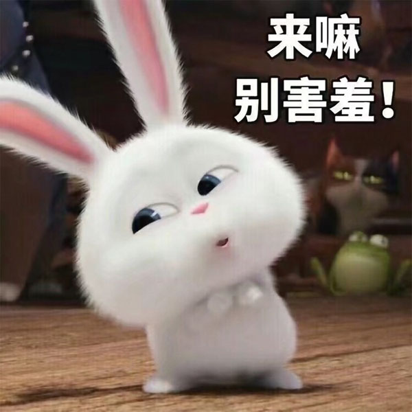 来嘛，别害羞呀