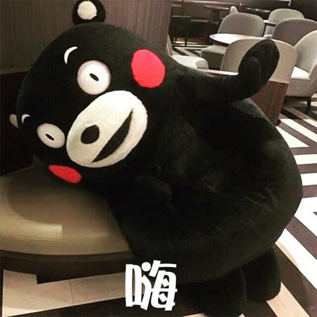 嗨，你好呀