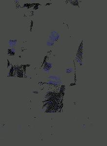 家穷人丑，诚心征婚