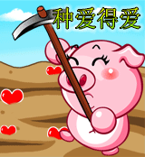 小猪猪也希望种爱得爱