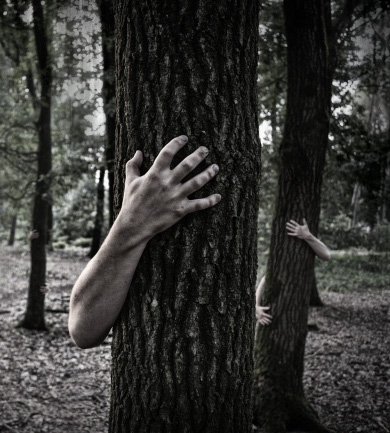 在小树林里只见手，不见头