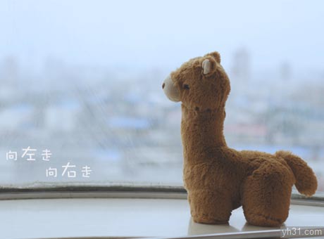 毛绒玩具版小羊驼