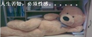 人生苦短，必须性感的玩具熊