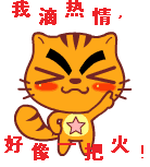烤猫快乐唱情歌