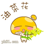 快乐挥舞油菜花