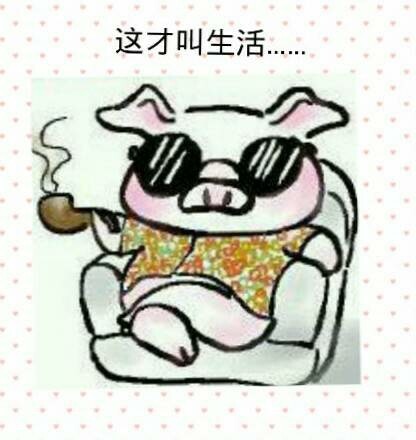 小猪抽着烟坐沙发上，这才叫生活