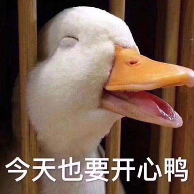 今天也要开心鸭