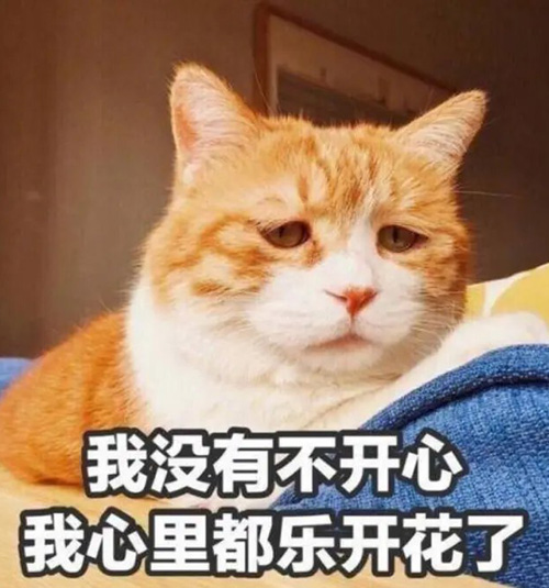 我没有不开心，我心里乐开了花