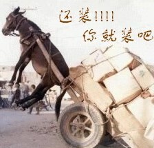 还跟我装，装翻了吧