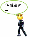 华丽的路过