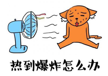 热到爆炸该怎么办