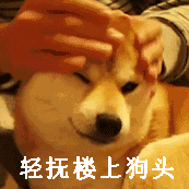 轻抚楼上的狗头