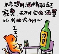 本想用酒精驱赶寂寞，无奈它酒量比我的大