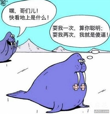 耍我两次，我就是傻逼