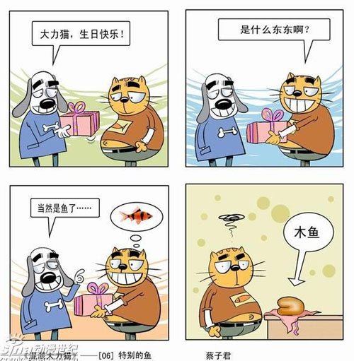 送给大力猫的特别礼物