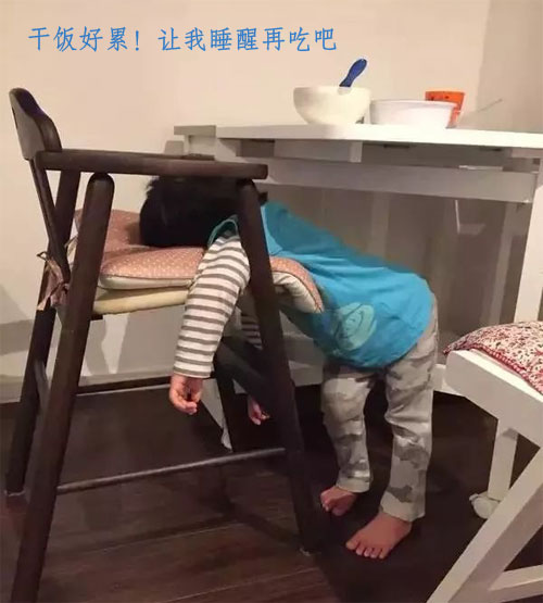 干饭好累，先睡醒再吃吧