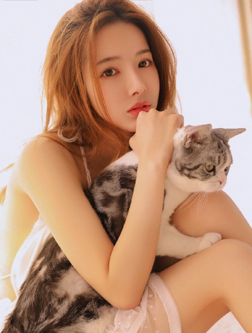 喜欢猫咪的美女