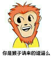 你是猴子请来的逗逼么