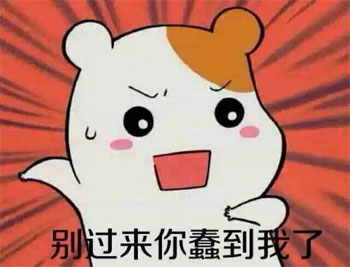 别过来，你蠢到我了