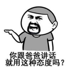 你跟爸爸说话就是用这种态度吗