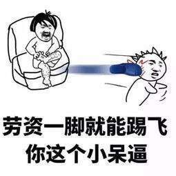 劳资一脚就能踢飞你这个小呆逼