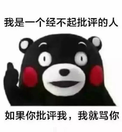 我是经不起批评的人，你要批评我，我就骂你