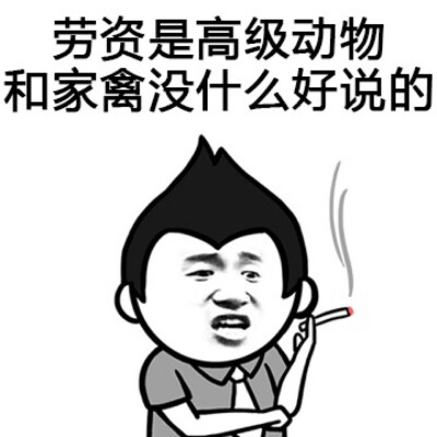 劳资是高级动物，和家禽没什么好说的