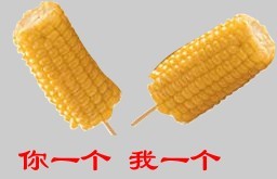 你一个我一个，请你吃玉米