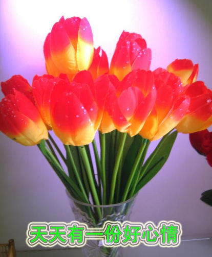 天天有一份好心情