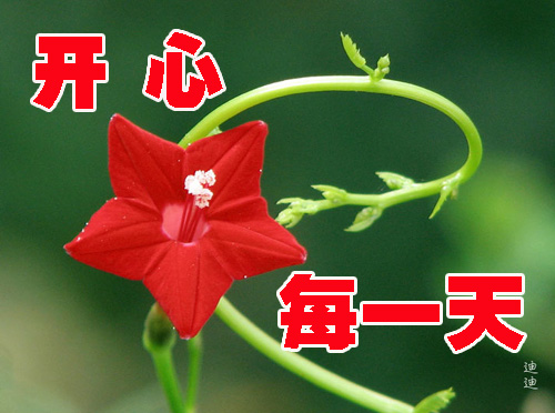 开心过好每天