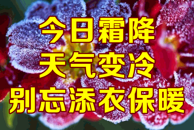 天气变冷，别忘了添衣保暖图片