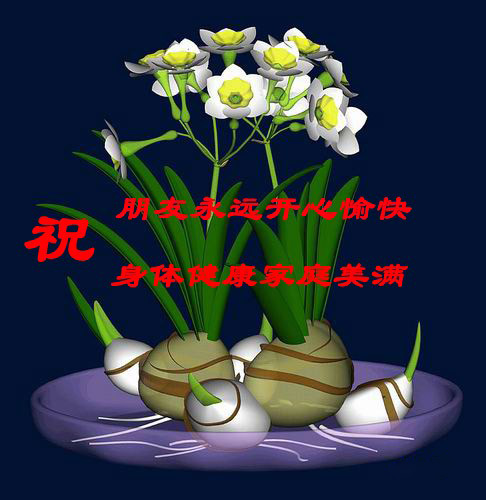 祝朋友身体健康、家庭美满