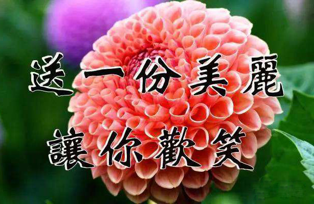 我要送你一份美丽，让你的生活充满欢笑
