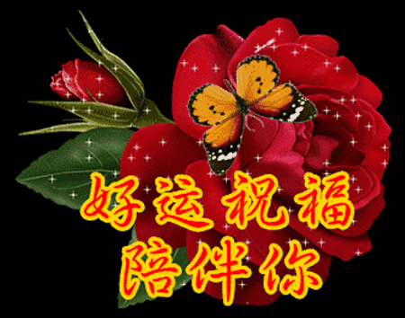 愿所有好运祝福一直陪伴你