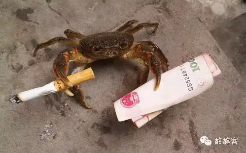 哥也很任性，有钱就是爽啊