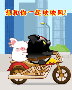 黑猪带白猪一起去吹风