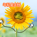 年青就是本钱