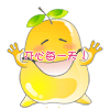 开心每一天