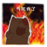 真是气死我了